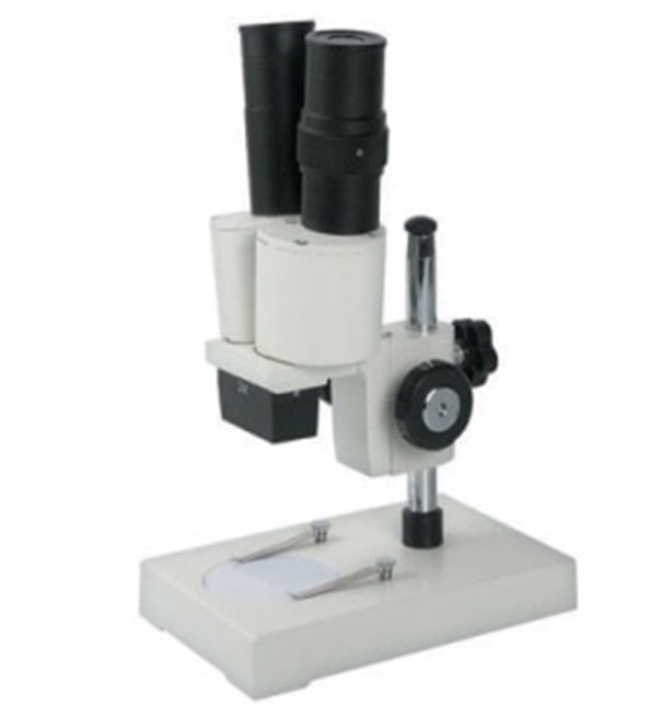 Mikroskop Stereo (S-10-p) - 2