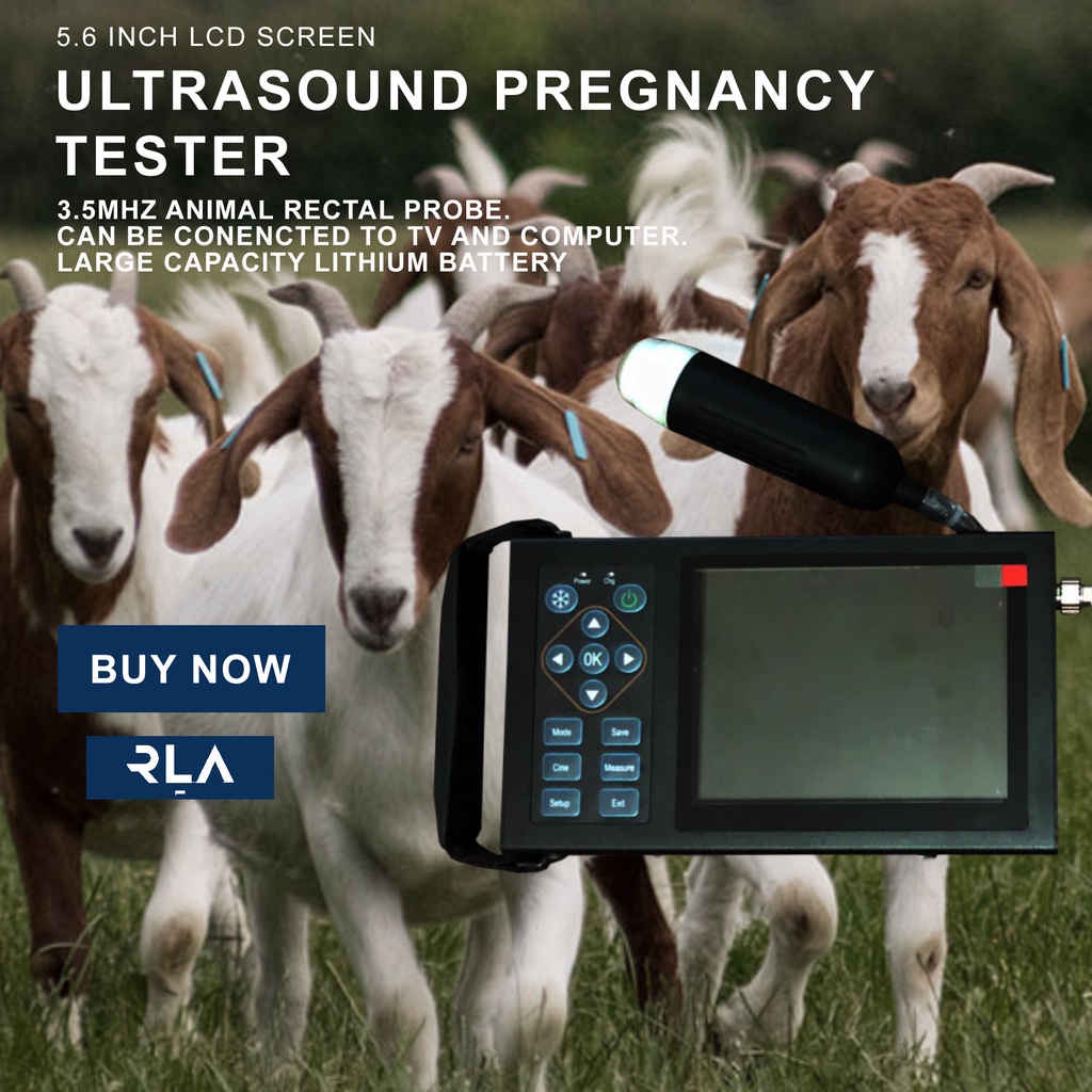 Alat USG Pemindai Ultrasound Kehamilan Hewan Peternakan Domba dan Babi - Image 2