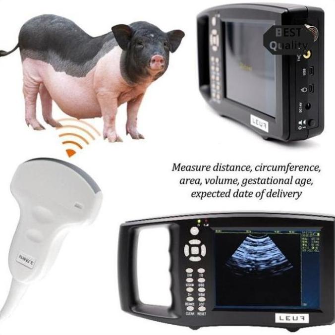 Alat USG Pemindai Ultrasound Kehamilan Hewan Peternakan Domba dan Babi - Image 6