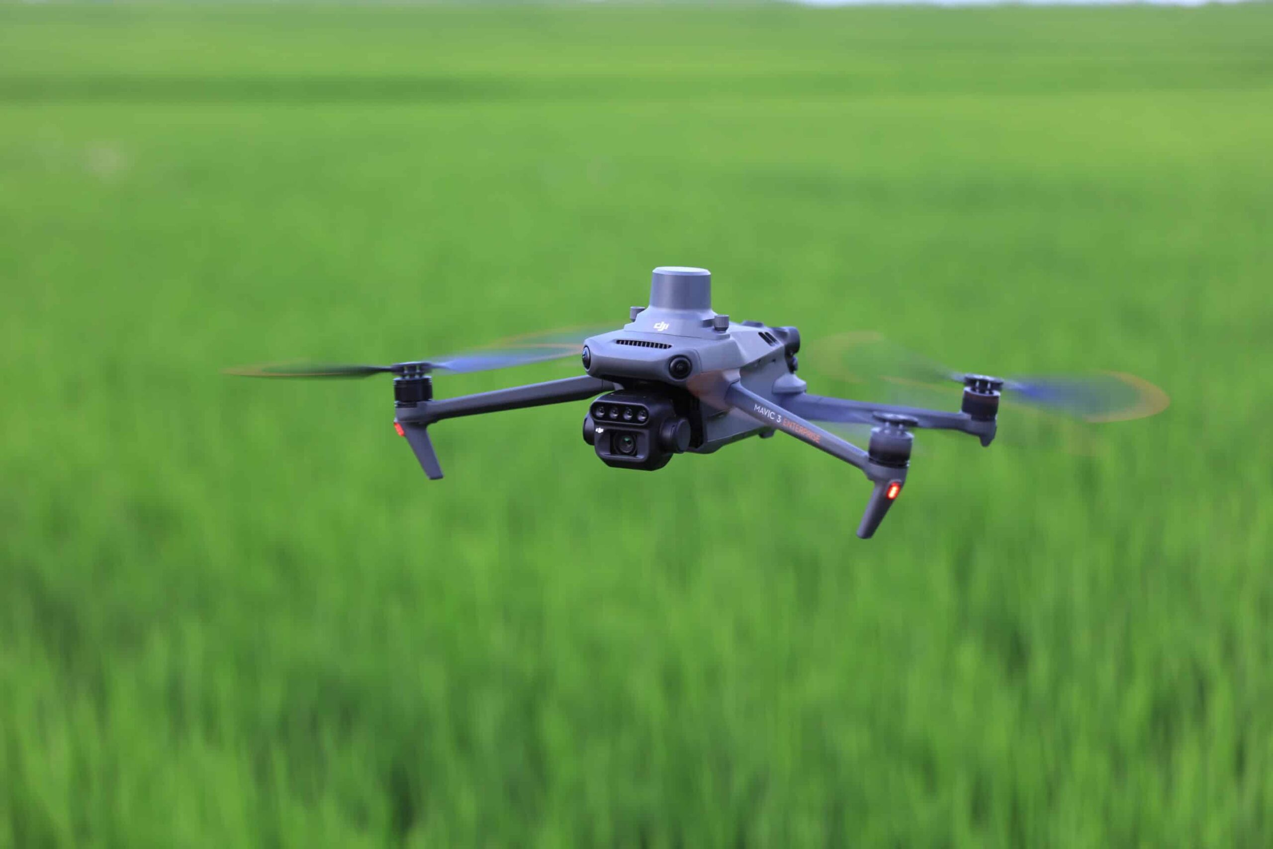 DJI Mavic 3 Multispectral Drone Mapping Pemetaan Hutan Pertanian Pohon - Image 3