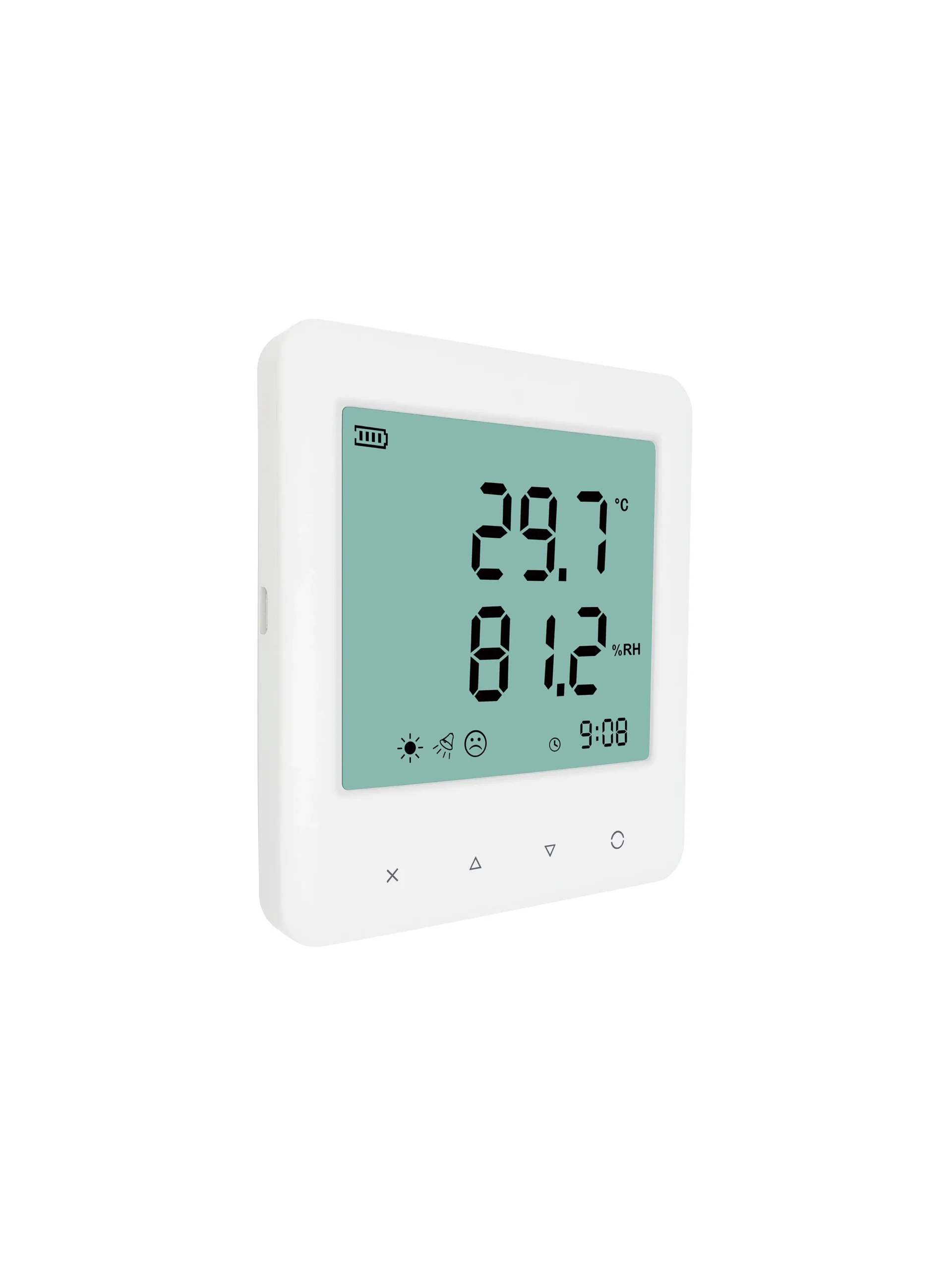YEM-20L Thermo hygrometer with data logger - Image 3