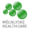 Molnlycke Barrier Medical Face Mask Extra Protection Type 2R IIR 42361 50 Pack